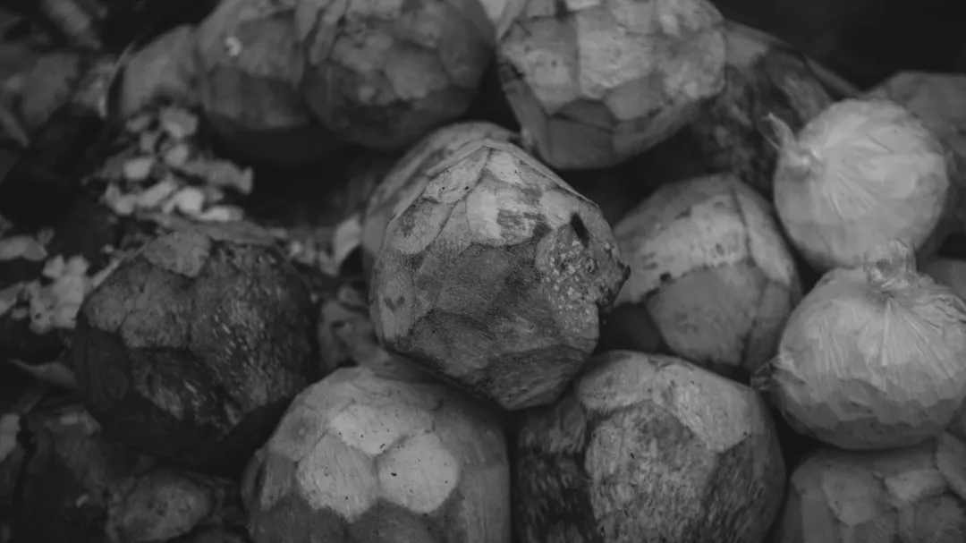 口腔护理产品选购指南：电动牙刷头与牙线搭配使用方案解析