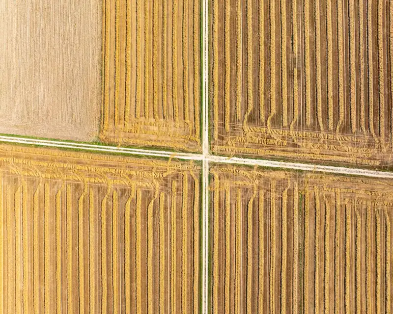 2025年口腔护理产品选购指南：电动牙刷头与冲牙器搭配方案解析正文配图 2